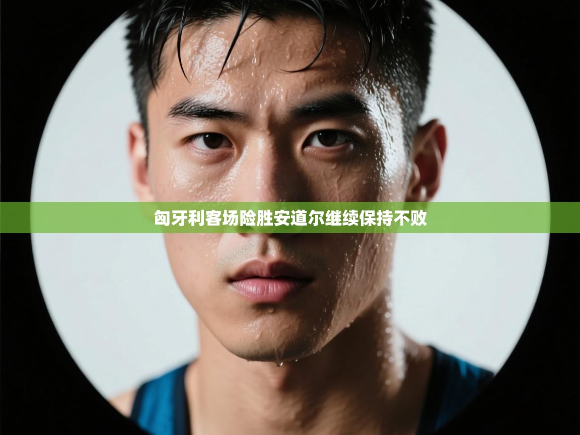 匈牙利客场险胜安道尔继续保持不败  第2张