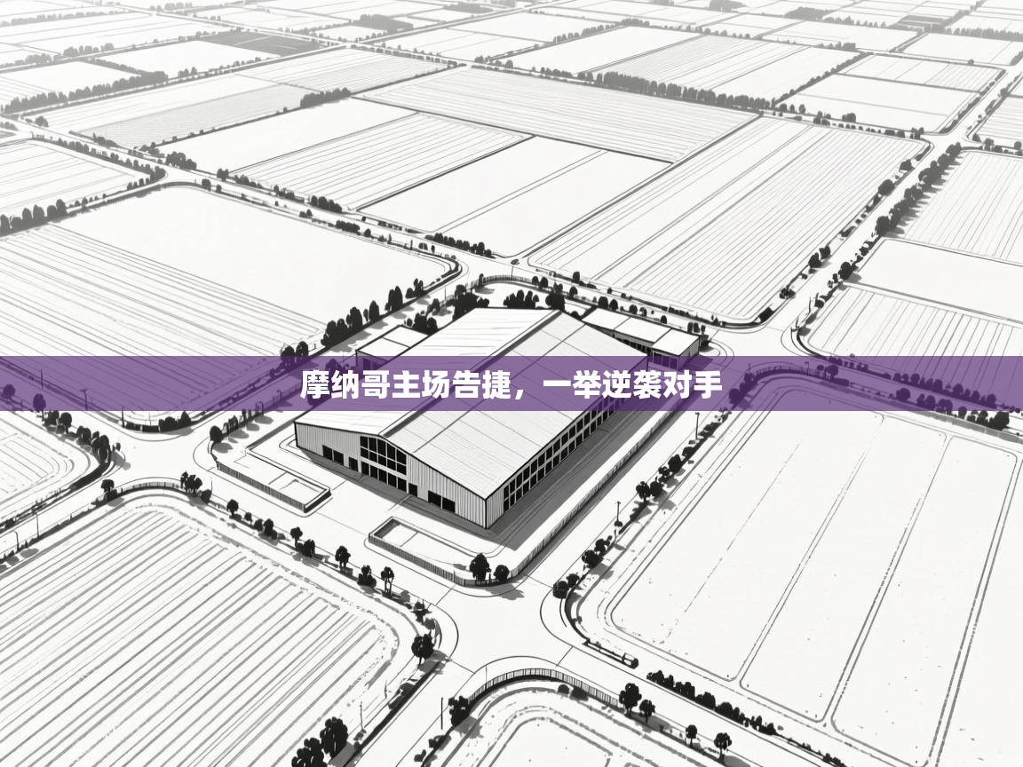 摩纳哥主场告捷，一举逆袭对手  第1张