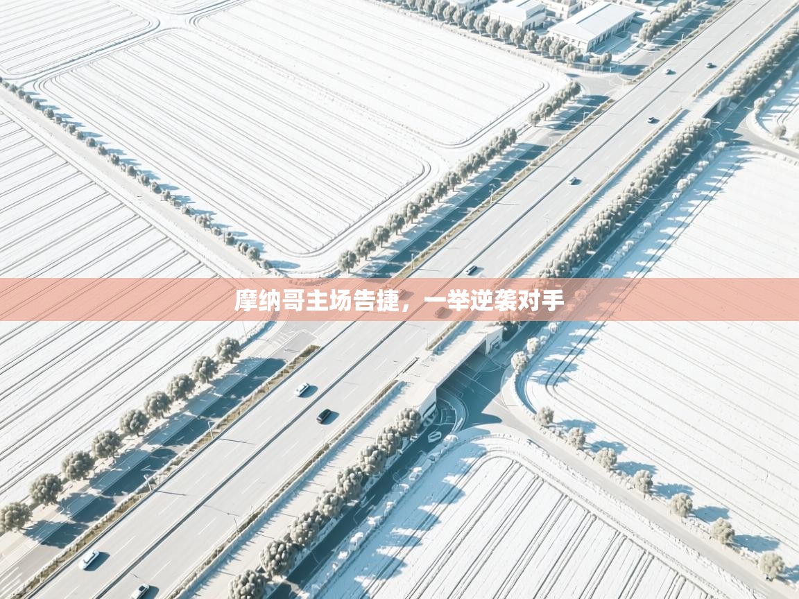 摩纳哥主场告捷，一举逆袭对手  第2张