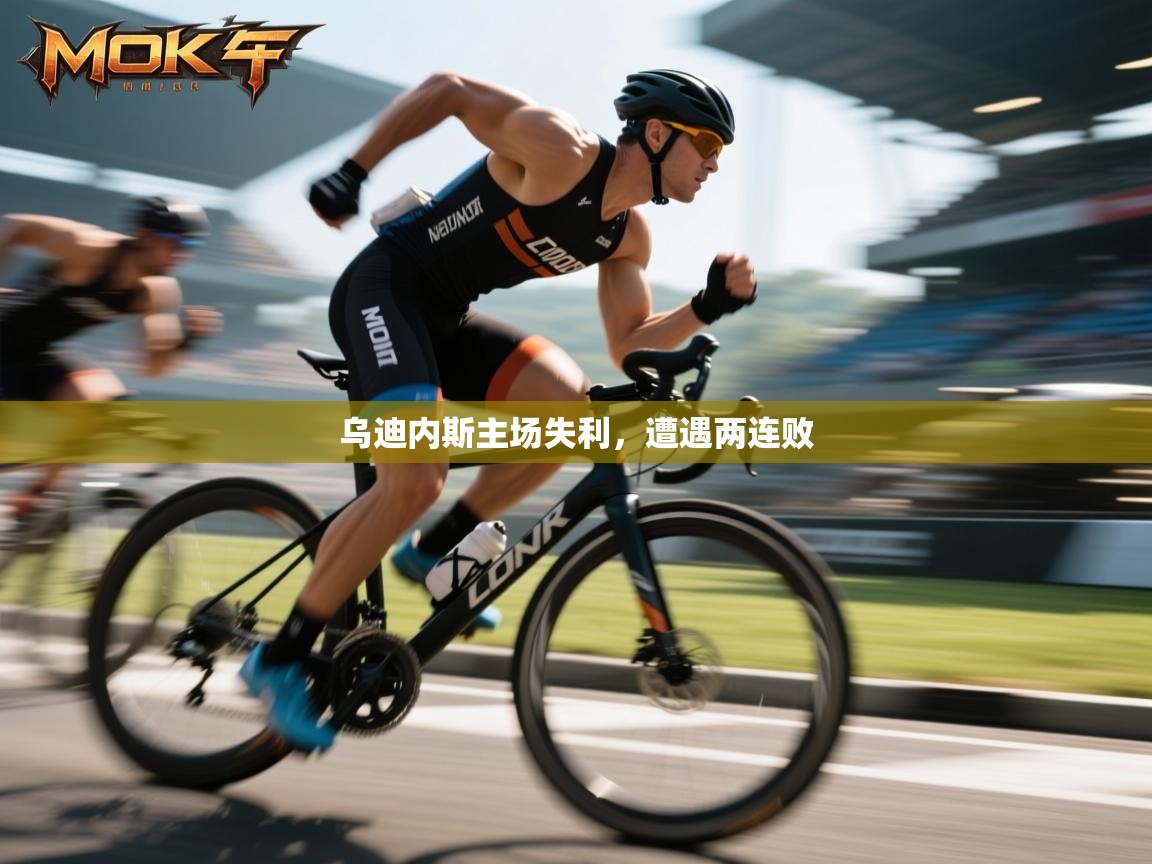 乌迪内斯主场失利，遭遇两连败  第1张