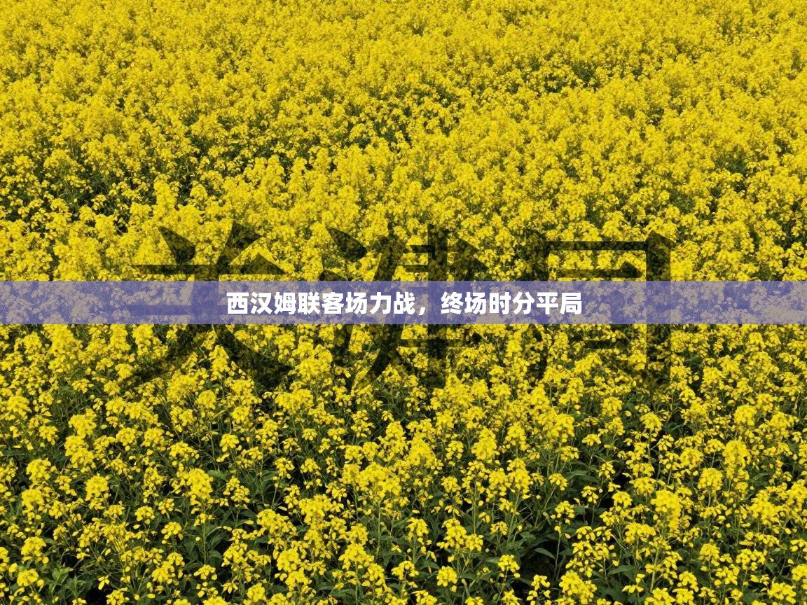 西汉姆联客场力战，终场时分平局  第1张